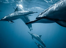 必发体育-曼城晋级英联杯决赛